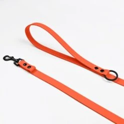 THE DOG IDEA Cityleine Biothane Orange -Wuff Welt 8b128dcd8fdc0c70e8676d0e095c3119380e9482 1492085 de DE 7b0476d14053e82b93eae2d1b910a9110a00ce2eVxtoaS