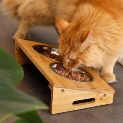 Lionto Futterstation Mit Bambusgestell -Wuff Welt 8c56991d507e18b3df4a2f4045dbd93cd3bd9353 1665980 de DE aa6482f6e46fc6375e62da8010ac0599c0ca4960aJFeP6