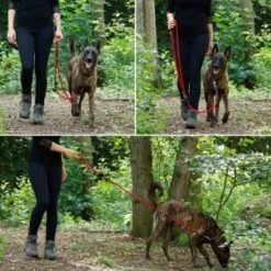 Lionto Verstellbare Hundeleine, Doppelleine Rot -Wuff Welt 8c6b95f51afd875b50139ee3dd5d422273f2df42 1657929 de DE 39de6082ed53c131f8cd133ce695479f146a7950JCms5W