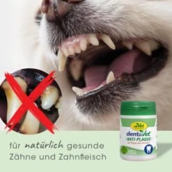 DentaVet Anti-Plaque -Wuff Welt 930f9318d5c211bcb06b98400e0d70741ee546d1 1663012 de DE 53394b8e93fca183b5ce802502d2065b0648877dMkYpya