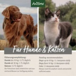 Aniforte Indische Flohsamen 1kg -Wuff Welt 9563ee42098cd0f28c17bf140caef7962aadb9cf 1332845 de DE 3dcddf4d122d51a6dbaac2ef378e46b41dae8049YgcdV5