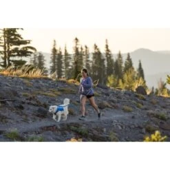 Ruffwear Trail Runner™ Leine -Wuff Welt 98f21e7cca63fb4d80dbaaac2586f93740693109 1651448 de DE 5295a8211b828d83dadc06360a315d29f14d29c0xJqSju