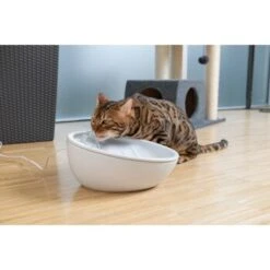 AniOne Keramik-Trinkbrunnen Waterfall Weiß Ohne Ersatzfilter -Wuff Welt 9ab78e65ebaf72b76c537cd735c5a7cd6cd4d027 a897eca6393f48ff54c98954a2b189a96196cfbd