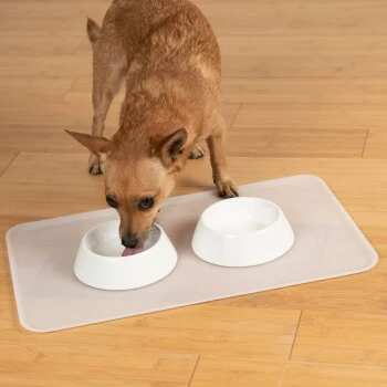 KaraLuna Basic Napfunterlage Transparent L 7 KaraLuna Basic Napfunterlage Transparent L – Bild 7