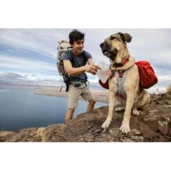 Ruffwear Swamp Cooler Core™ Geschirrzubehör S 19 Ruffwear Swamp Cooler Core™ Geschirrzubehör S -Wuff Welt 9ba5d07ebcdd1ff9188c1e1be27524a445353621 1651553 de DE 30f2b9bf5f20bc24b06fe4798a2a08e0e59cfe218Xq70v