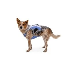 Ruffwear Swamp Cooler™ Geschirr Violett L-XL -Wuff Welt 9c08d51037e9b6fa0de383af1dac2a8b98ac18a2 1651453 de DE 203c7bccc1793230d4ae6303c0a319bf98044f95DOp5lO