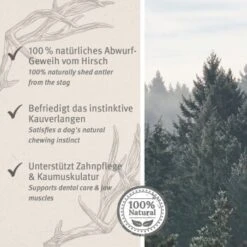 Aniforte Hochland Hirschgeweih Large -Wuff Welt 9dcf0f27be6849c765e8a9e12cd266dd1588a12d 1656976 de DE ac8dd6a0786bd0be0560fc7bc4de242434c219127XG5KZ