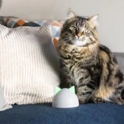 SureFlap Sure Petcare Hub 15 SureFlap Sure Petcare Hub -Wuff Welt 9f5bfec8de043f4a92cd1437f562ae1683a10820 46ac2e41b6bc8ea03ea15881bcebd38d8c7bf830