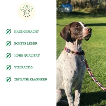 Kipita Polo Hundeleine Rainbow 6 Kipita Polo Hundeleine Rainbow – Bild 6