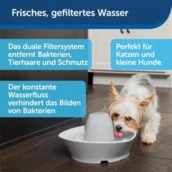 PetSafe Trinkbrunnen Streamside -Wuff Welt a4863bb01c9defc206f3abadb7407b11767619bd 1423698 de DE d7c376710365041814bb26a7ca9d55a6a9011fd8Nm0GoI