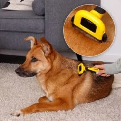 Lionto Haustierbürste, Zupfbürste -Wuff Welt a99a14a7250fd4e501ec529126934f0a8e973480 1665908 de DE 47ac745e0253c5bc3fba7e69b1681c237a8f3a97orElkU