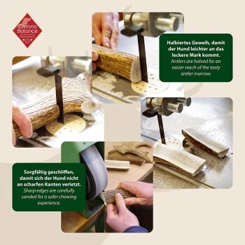 ChronoBalance Geweih Halbiert (S) 2er Paket 5 ChronoBalance Geweih Halbiert (S) 2er Paket – Bild 5