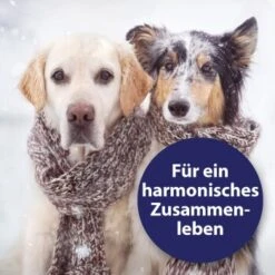 Canosept Home Comfort Beruhigungsspray Für Hunde 100 Ml -Wuff Welt adccfc5a19c76ad9b128183d6445b9a0ce37b36d 1265539 de DE Canosept 2
