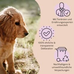 FAVLY Petfood Nature Cookies Hirsch 360 G 11 FAVLY Petfood Nature Cookies Hirsch 360 G -Wuff Welt ae0e416bd82871a8a65b5b89ea5ccac268b91726 1474001 de DE 80624b888460a5c29f043365a19496292e44fd84erjjco