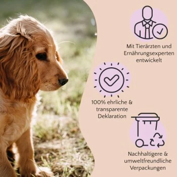 FAVLY Petfood Nature Cookies Hirsch 360 G 6 FAVLY Petfood Nature Cookies Hirsch 360 G – Bild 6