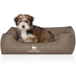 Knuffelwuff Hundebett Scottsdale Aus Kunstleder Stone Clay M-L -Wuff Welt afdefd1888a78a78a3355676b158f643fcb5d7cd 1411998 de DE 22f250ac772f6cb0e29fb6fa36bf844b3aff7ab6JLwibO