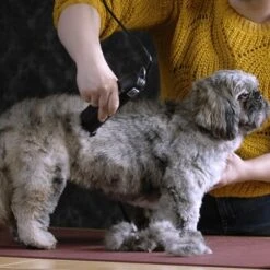 Moser Schermaschine Max 45 Inkl. ASK -Wuff Welt b0d4eca208b1c44fde9769108a0a7feb3a3a5ad2 da57035be550c76ab9dcf7d8dbc15959d076f3f0