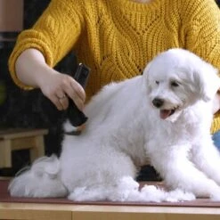 Moser Schermaschine Arco Pro -Wuff Welt b131ca6d4dc18dbcff5826048d13c7a9865a2f22 9527aaf3ea2ef7fd3da12225a4b042dbe7fd8159