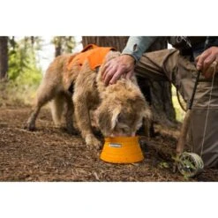 Ruffwear Bivy™ Faltbarer Napf 8 Ruffwear Bivy™ Faltbarer Napf -Wuff Welt b21f85e12f046bba6b04285e99963c46170021f9 1651613 de DE 125ef372cbb05a1c89e3245701a5cdf0079102b6GpOPij