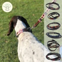 Kipita Polo Hundeleine Rainbow 9 Kipita Polo Hundeleine Rainbow -Wuff Welt b3f1e5d5edb12499cecef8d448554ac29ebee2a8 1410921 de DE bdee305cb3dca22d05c60bfa89eba9d9a1a952e5I3W93C