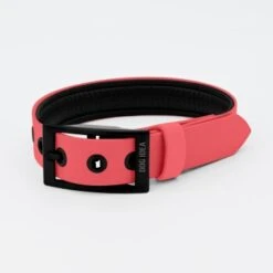 THE DOG IDEA Biothane Halsband Coral Koralle M -Wuff Welt b7fe16fc921b2bcba328d45611a408d7405444fe 1481102 de DE 29ea273c3dfe4a43cc9376332d0f6335f89604dcwos5u2