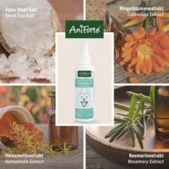 Aniforte Dentalspray Zahnpflege Spray 100ml -Wuff Welt b8c2494df30b706b215daba4b3b66c8a0a3adb3b 1439278 de DE f771ceb2289f6e14df78bea1815642d81ce3e3cf9ASqvV