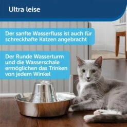 PetSafe Trinkbrunnen Seaside -Wuff Welt b8c30eb80c3b41d9f97ae45dfa553a3f3cf275d0 1423699 de DE 574133d75b37dd533cfefe79c3b58691ae333d20jypsKp