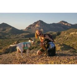 Ruffwear Swamp Cooler™ Geschirr Violett L-XL -Wuff Welt bb26cdd896074e6ea6b83a2e11f4b6cb5c7a08c9 1651453 de DE 0738621222b34f456fd2a616a7dc06e6b24f57112NyqMj