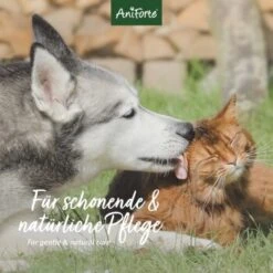 Aniforte VET Ohrenreiniger Kamille 250ml -Wuff Welt bb72cf922fff80c2ad100a34a6028fcdc6e18ba8 1441191 de DE 04511de56e799f1986950cb040592ffe3d335883KMQ73o