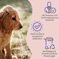 FAVLY Petfood Premium Naturkauartikel Rinderlunge 900 G -Wuff Welt bf0295fc51175eb9c0e295a7e2fc491189dc6682 1473997 de DE a2c9f8d86d80fc90ca8f9c923a08051ec130ef8deOeplF