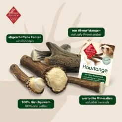 ChronoBalance Rothirsch Geweihstange Halbiert 50 G -Wuff Welt c1c1d5f2dc2e68436e3d9eaba95be50761e7d2bf 1409474 de DE 902a389be4b99eb60431c66affbaefe4377d7689mK4Gdf