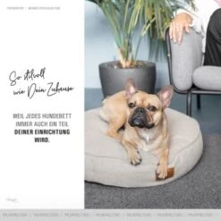 Freudentier Kuscheliges Hundebett Mit Memory Foam ⌀70cm -Wuff Welt c22bd91b01a6f6c6cf40d7b3d970e27a9fac14f9 1421322 de DE 52bf603f7a7b436d2e10fed70a6a039778ceaa33VNuXm7