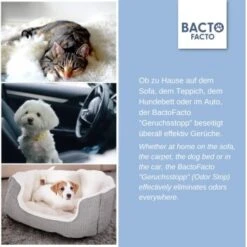 ChronoBalance BactoFacto Probiotischer Geruchsstopp Pads Für 2 Liter 20 Ml -Wuff Welt c27e75fc226c89e592b2af9866887997e79057a8 1397549 de DE 11eaf103bff429178d8c79950fc83faf63345183BU6JEF