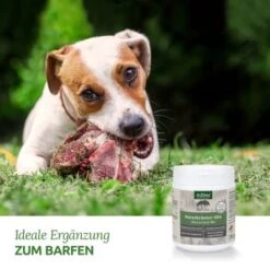 Aniforte BARF-Line Naturkräuter Mix 250g 8 Aniforte BARF-Line Naturkräuter Mix 250g -Wuff Welt c578d8ead8b853abfea2a82ca4591ace6b681e88 1477973 de DE f5c2f4103e3264129f0109b6cb84b47eaa0188a6cBLOvK