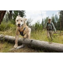 Ruffwear Brush Guard™ Geschirrzubehör S -Wuff Welt c88704a120b1ecbe10b5759d1532c5876bf02eec 1651427 de DE 6693c5b56ae972b6dab2ef2f40458870105d43f0wwSvBk