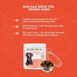MediDog Gelenk Aktiv Drops 6 MediDog Gelenk Aktiv Drops -Wuff Welt ce4b4dc101e61c8b01790fff349fad9c45904630 1660398 de DE 7e78786d5b2ebd33c814e31255213190777161efkciGAC