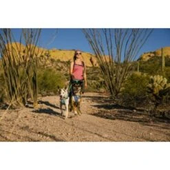 Ruffwear Swamp Cooler™ Geschirr Violett L-XL -Wuff Welt d0abc349a10811bbd05c0fc614d96cb63a2f0613 1651453 de DE 00efb9f982076af20ddde1a707f7830a11c8e752c0zjBr