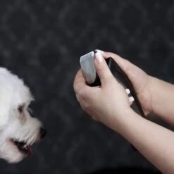 Moser Schermaschine Arco Pro -Wuff Welt d1c65d2d167a6d8fa4a6793a53ee3362d025451e ecb090312fbe9e8eac9c719cb575336bebaad472