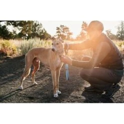 Ruffwear Web Reaction™ Halsband Blau S -Wuff Welt d3a35049e9c877af4e809eacf99e8b70fd10e90d 1651469 de DE e4b26d10fc45962c6fa312f90366b5045e2c5f98pdXT30