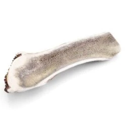 Larsson Halbiertes Geweih M Ca. 80-120g -Wuff Welt d681c467faf90aaafb4106ac6ff11dfde40fa0b4 1057939 de DE 07a5583c6c0a2422d7e96e9d106fdd121d9d8ba6Brcgig