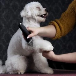 Moser Schermaschine Arco Pro -Wuff Welt d94979d61f2023cf0118c8257a8bd4066fa8858b ed4a0b808fc43743a84927566ac43a708eadd5ba