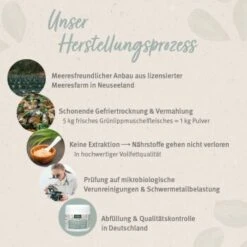 Aniforte Grünlippmuschelpulver Vollfettqualität 100 G -Wuff Welt d98faa52594ca23e167fd69cb9699393e0760df9 1439277 de DE 56aad0a42e8544a96587ad496899fa8575021b855zKUTG