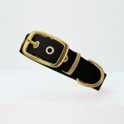 THE DOG IDEA Biothane Halsband Gold Schwarz XS -Wuff Welt d9e3ff0533f005d4ea9574e709549404fe1017df 1655410 de DE e623b6a0565fba7c060dba5e6a356eabf0949a0ex5afTX