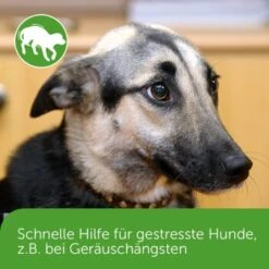 ADAPTIL Chew 30 Stück Anti Stress Snack 13 ADAPTIL Chew 30 Stück Anti Stress Snack -Wuff Welt dd1f44620defd2e7a86c6271361fb23975f08b2f 1374744 3