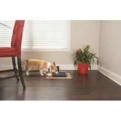 PetSafe Digitaler Futterautomat Für 2 Mahlzeiten -Wuff Welt dd3fb1748ad72abb1dbd97f6f077b00bb4d76d05 1291255 de DE cf72a75b3fd4f7fd8b7e51ea368585b22239110fFJga5O