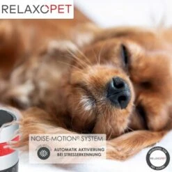 RelaxoPet PRO Entspannungs-Trainer HUND -Wuff Welt de224d287be26c0354854993fb0e65239f9ec826 1315705 de DE a310aadac7db671f3faae759d92e591bdad669dc4yLyHE