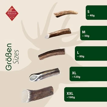 ChronoBalance Geweih Halbiert (L) 2er Paket 5 ChronoBalance Geweih Halbiert (L) 2er Paket – Bild 5