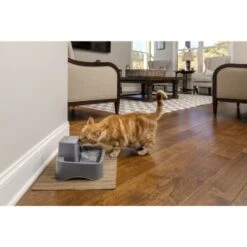 PetSafe Trinkbrunnen 1,8 L -Wuff Welt df488cf045110a6e0d24fcded3d81de07583d88a 1323706 7