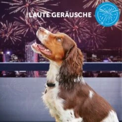 ADAPTIL Calm Halsband Anti Stress Erziehungshalsband S-M -Wuff Welt e065c94a1eadac38177e4f3120e975f32282355e 1204441 10