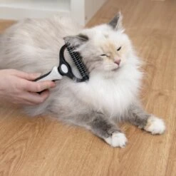 KaraLuna Unterfellbürste -Wuff Welt e0e7f4b3ef49c70421b21094c2615519c93a1a3e 1407475 de DE 78030a6cd3af146aa7eb3f83fa2322b52c78816a2jpF0U